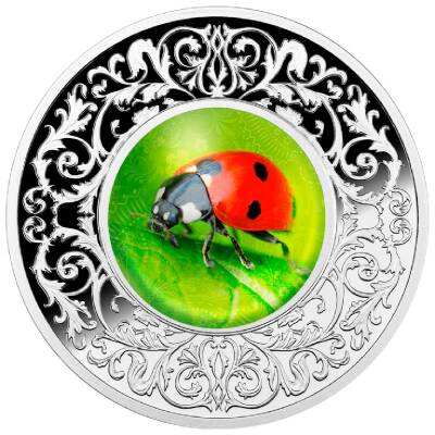 Biedronka Lucky Charms Ladybug Case 500 CFA Gümüş Sikke Coin (999.0) - 2