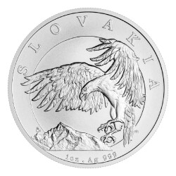  Eagle 2024 1 Ounce 31.10 Gram Silver Coin (999) - 1