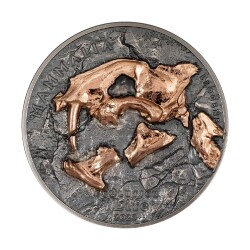 Evolution Of Life Nimravidae 2023 1 Ons 31.10 Gram Gümüş Sikke Coin (999.9) - 2