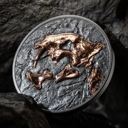 Evolution Of Life Nimravidae 2023 1 Ons 31.10 Gram Gümüş Sikke Coin (999.9) - 4