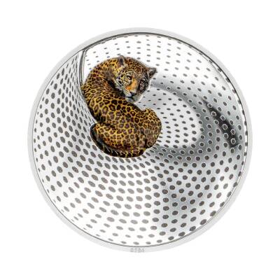 Leopard Camouflage 2024 3 Ons 93.30 Gram Gümüş Sikke Coin (999.9) - 2