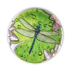 Lily Pad Dragonfly 2024 1 Ounce 31.10 Gram Silver Coin (999.9) - 1