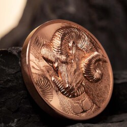 Magnificent Argali 2022 50 Gram Copper Coin (999) - 3