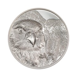Mongolian Falcon 2023 1 Ons 31.10 Gram Gümüş Sikke Coin (999) - 2