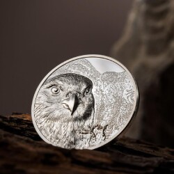 Mongolian Falcon 2023 1 Ons 31.10 Gram Gümüş Sikke Coin (999) - 4