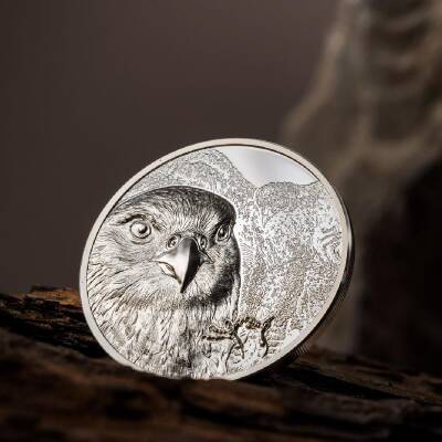 Mongolian Falcon 2023 1 Ounce 31.10 Gram Silver Coin (999) - 4
