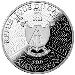 Pluton Case 500 CFA Gümüş Sikke Coin (999.0) - 3