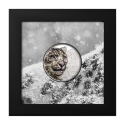 Snow Leopard 2024 1 Ons 31.10 Gram Gümüş Sikke Coin (999.9) - 1
