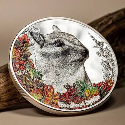 Woodland Spirits Chipmunk 2023 1 Ounce 31.10 Gram Silver Coin (999) - 3