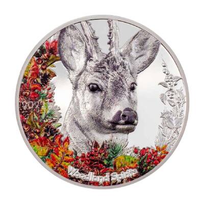 Woodland Spirits Deer 2022 1 Ons 31.10 Gram Gümüş Sikke Coin (999) - 1